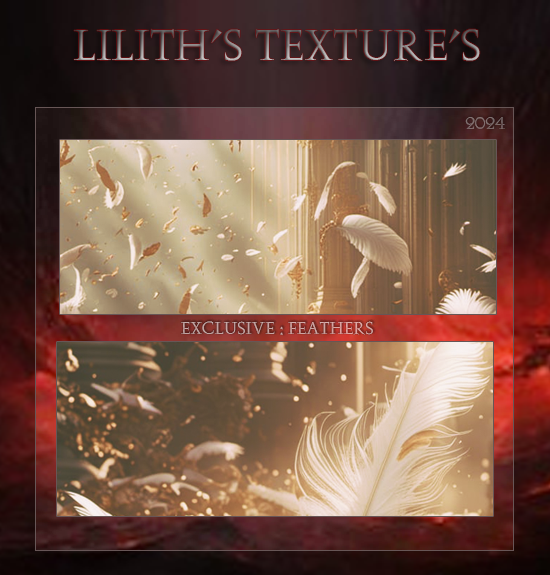 Lilith Textures: Feathers
Price: 300 points
Stipulations: Do NOT share!
