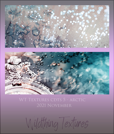 WT Textures: CDTS21 Arctic
Price: 300 points
Stipulations: Do NOT share!
