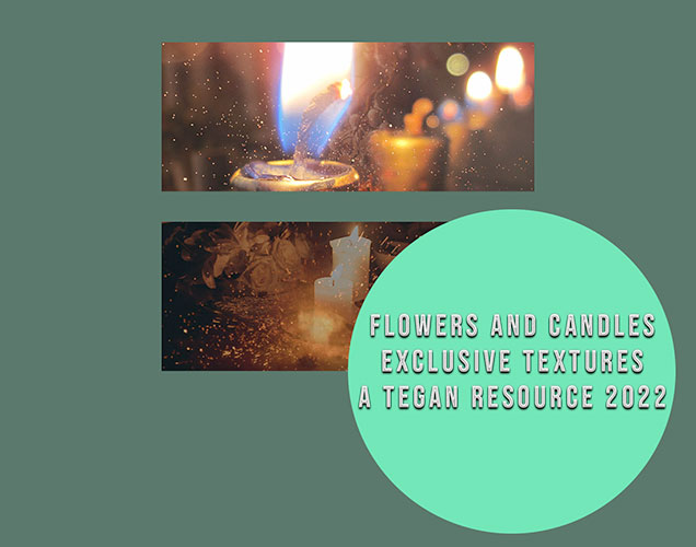 tegan textures: flowers & candles
Price: 300 points
Stipulations: Do NOT share!
