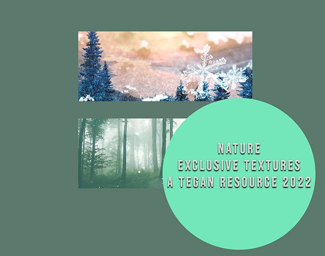 tegan textures: nature
Price: 300 points
Stipulations: Do NOT share!
