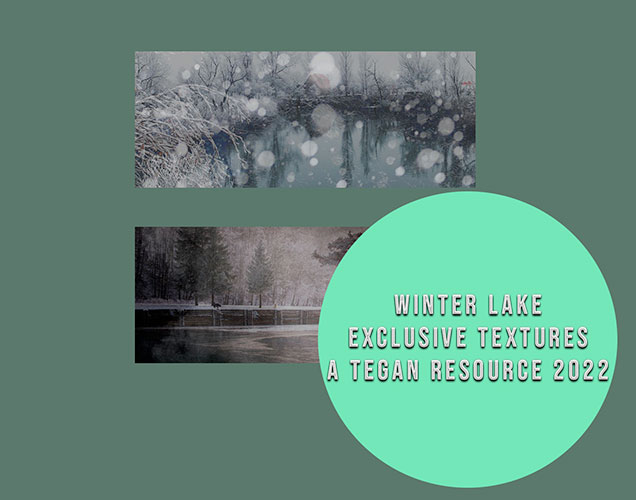 tegan textures: winter lake
Price: 300 points
Stipulations: Do NOT share!
