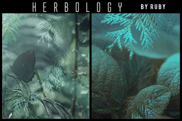 . Lenore . Textures: Herbology
Price: 300 points
Stipulations: Do NOT share!
