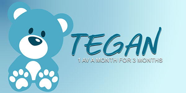 tegan: 1 av per month for 3 months
Price: 700 points
Stipulations: Contact the artist for further information.
