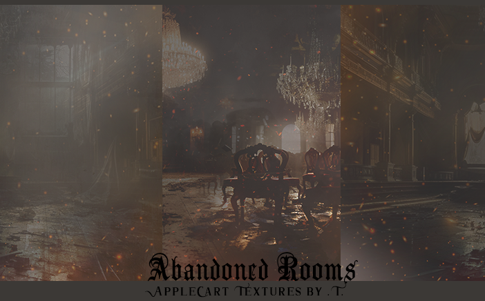 .T. Textures: Abandoned Rooms 
Price: 300 points
Stipulations: Do NOT share!
