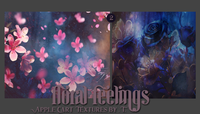 .T. Textures: Floral Feelings
Price: 300 points
Stipulations: Do NOT share!
