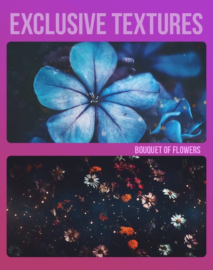 nymphie Textures: Bouquet of Flowers
Price: 300 points
Stipulations: Do NOT share!
